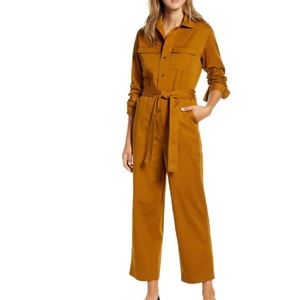 Everlane Cotton Long Sleeve Jumpsuit